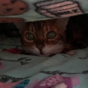 Meet your Posher, Christine